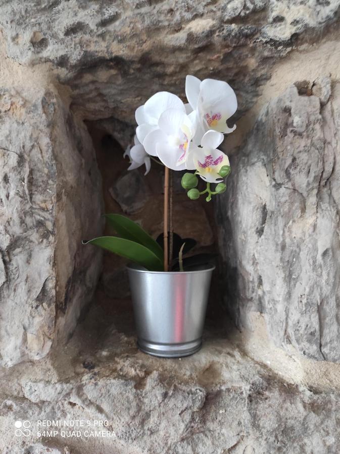 דירות גליצנו La Casita Del Abuelo מראה חיצוני תמונה